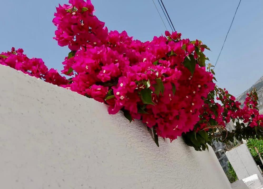 Villa Niko Apartament Sarandë Exterior foto
